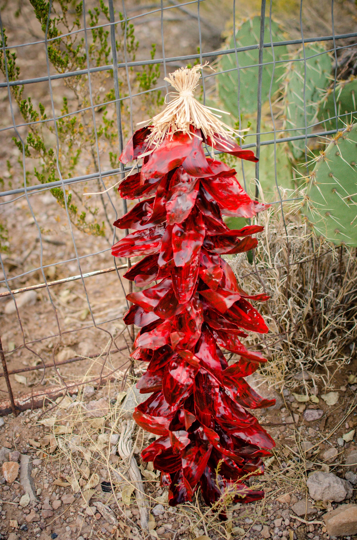 Handmade Metal Ristra